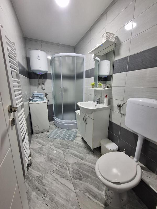 One-Bedroom Apartment image 4