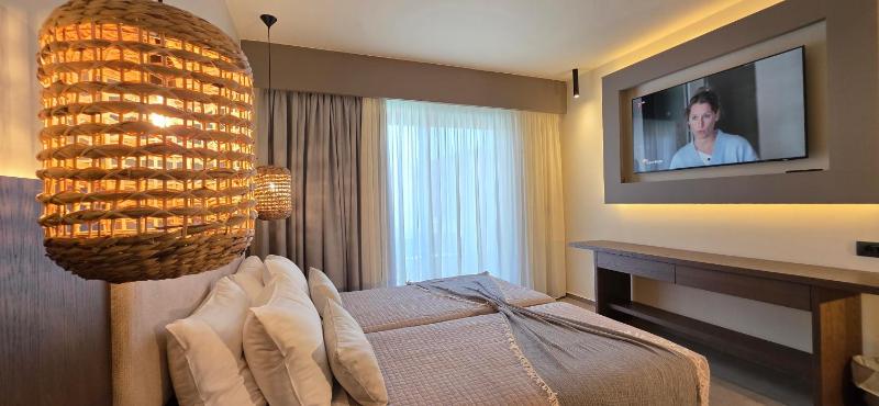 Deluxe Twin Room image 2