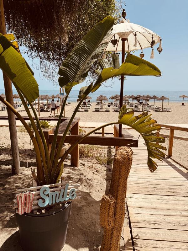 Carvajal Beach Holiday Apartment - image 15