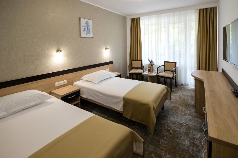 Superior Double Room image 1