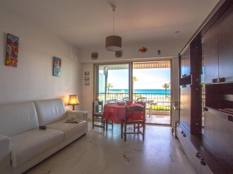 Studio face mer avec terrasse proche plages et centre Wifi gratuit - FR-1-196-216 - image 8