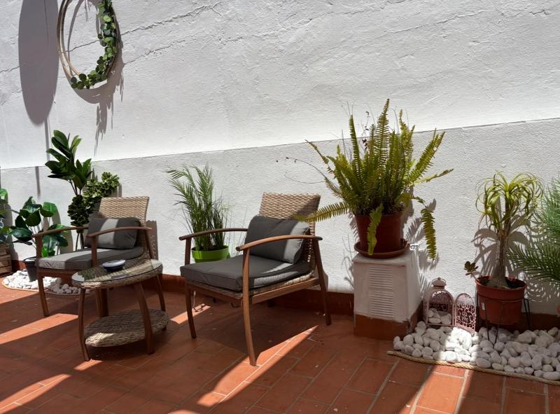 Studio with Terrace image 3