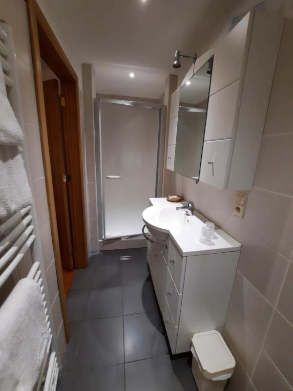 One-Bedroom Apartment image 4