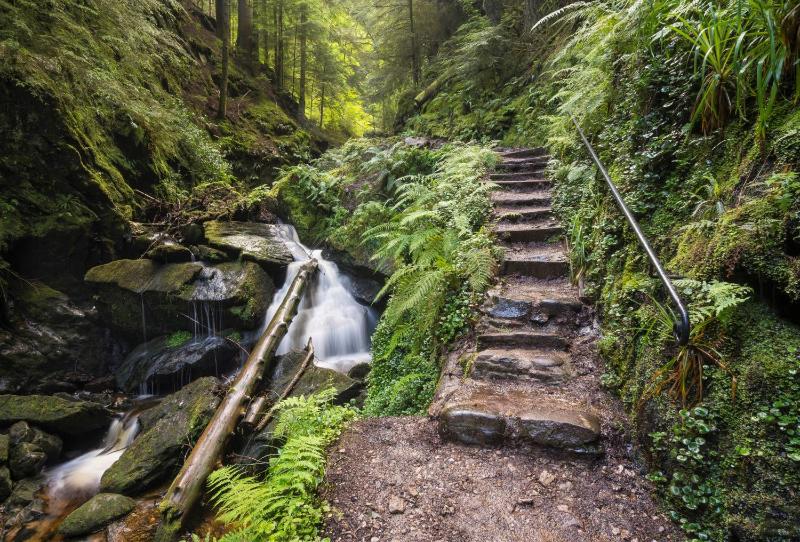 Holiday Home image 4