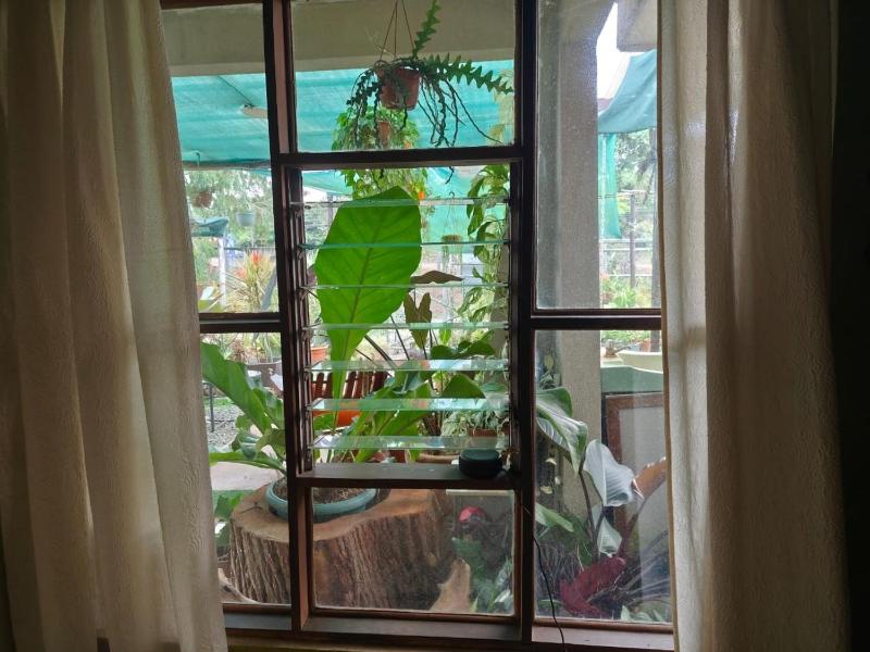 Casa Maranta - image 2