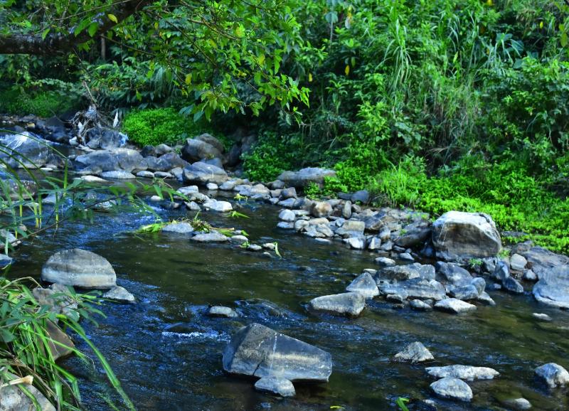 coorg river valley retreat - image 9