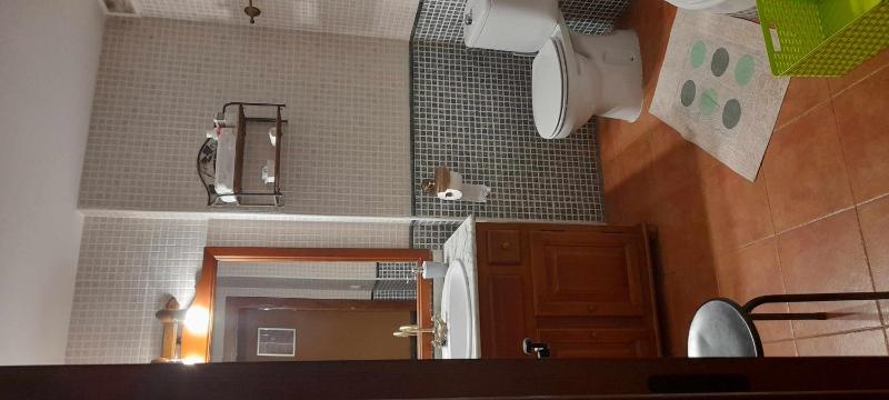 One-Bedroom Apartment with Terrace image 4