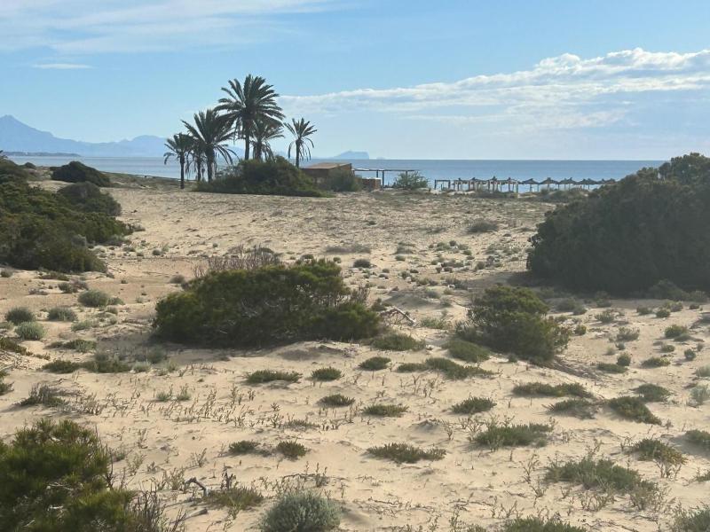 rentafive - Mi casita de la playa - Gran Alacant - image 32