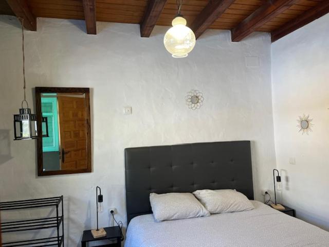 Villa (4 Adults) image 3