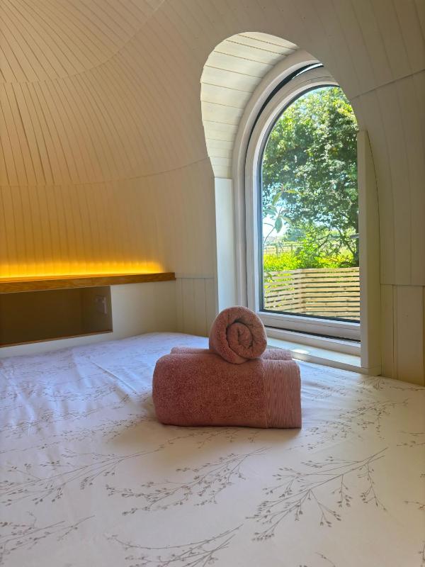 Quarrywood Glamping - image 6