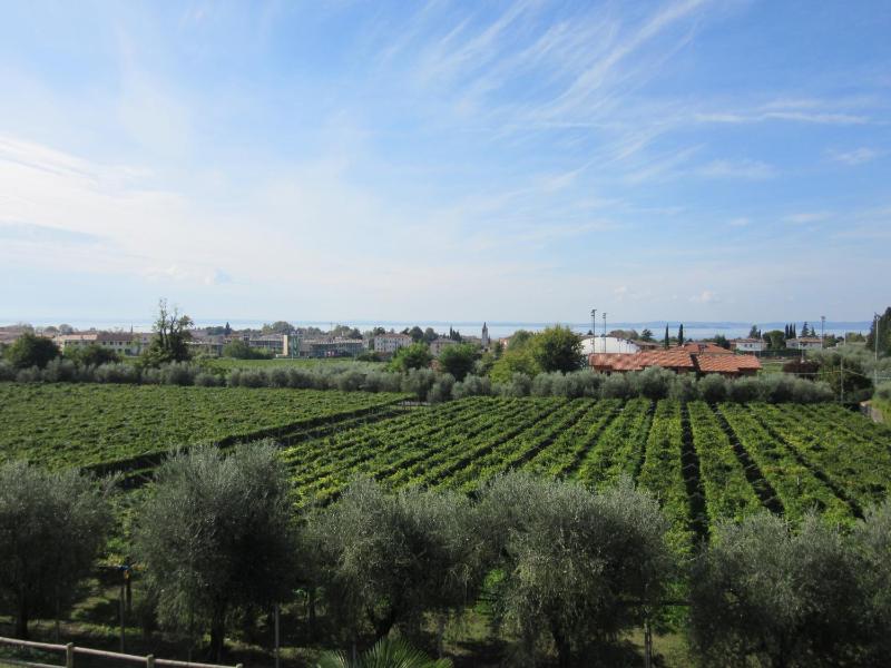 Cà Bottrigo - image 29