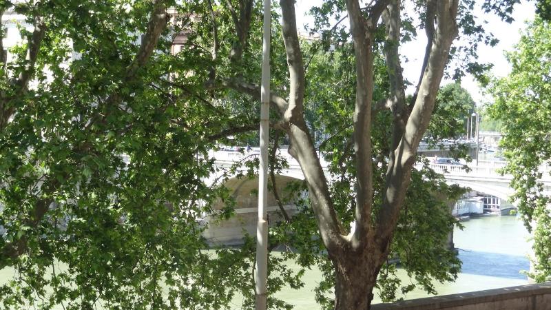 Superior  Double Room with River View - Separate Building image 2