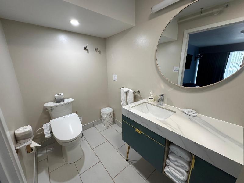 Deluxe Suite image 4