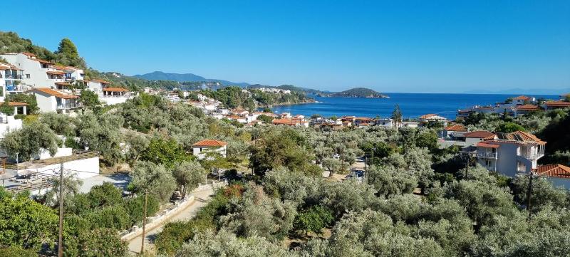 Olive Grove Studios - image 33