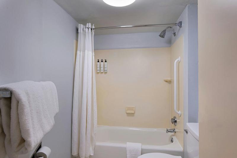 King Studio with Sofa Bed and Roll-in Shower - Mobility and Hearing Accessible image 2