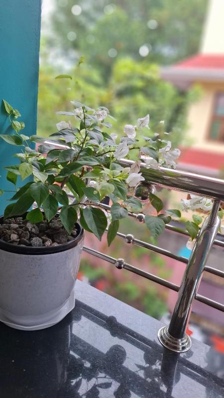 Purayilhomestay - image 7