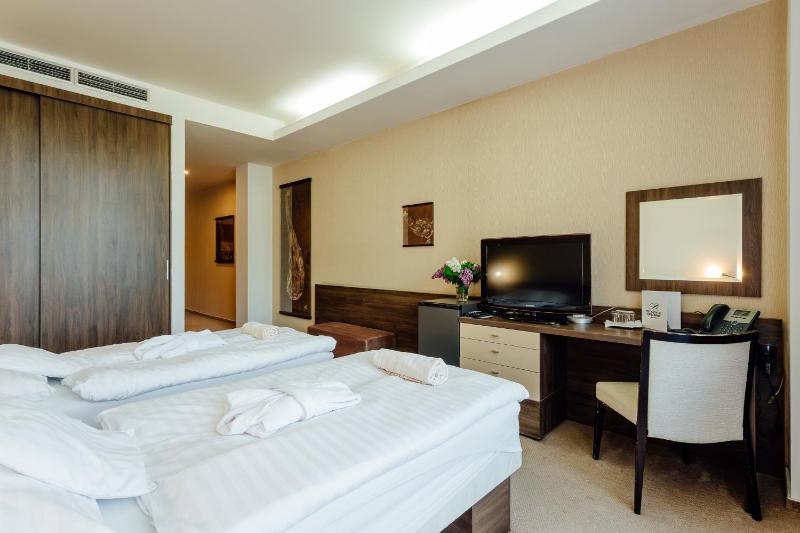 Standard Twin Room image 4