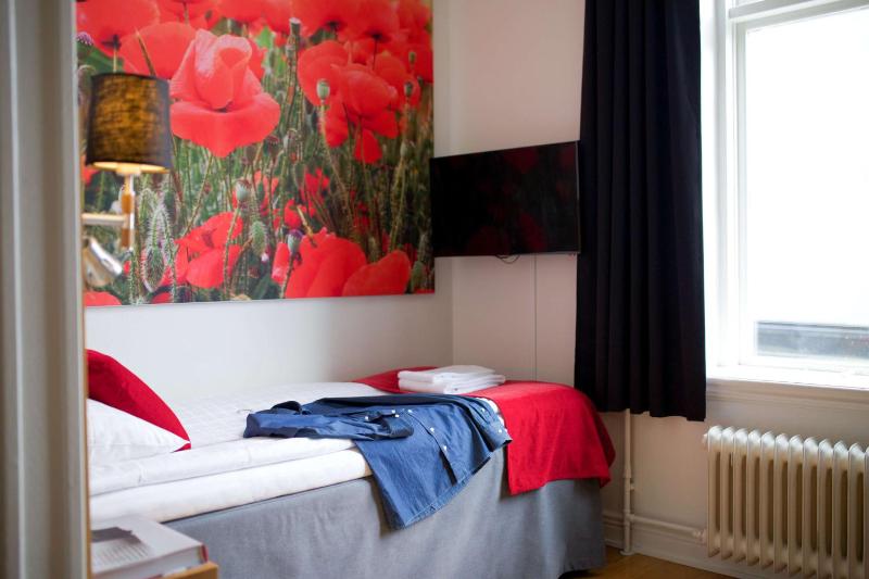 Budget Single Room image 4
