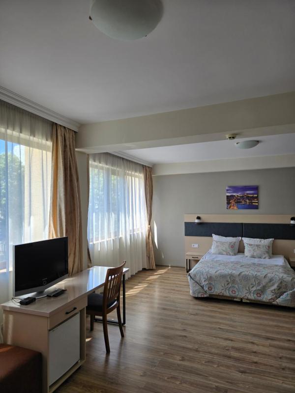 Deluxe Double Room image 3