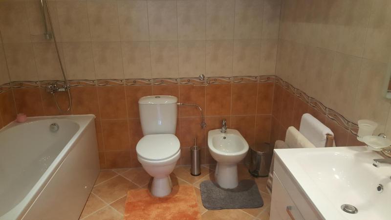 One-Bedroom Apartment image 2