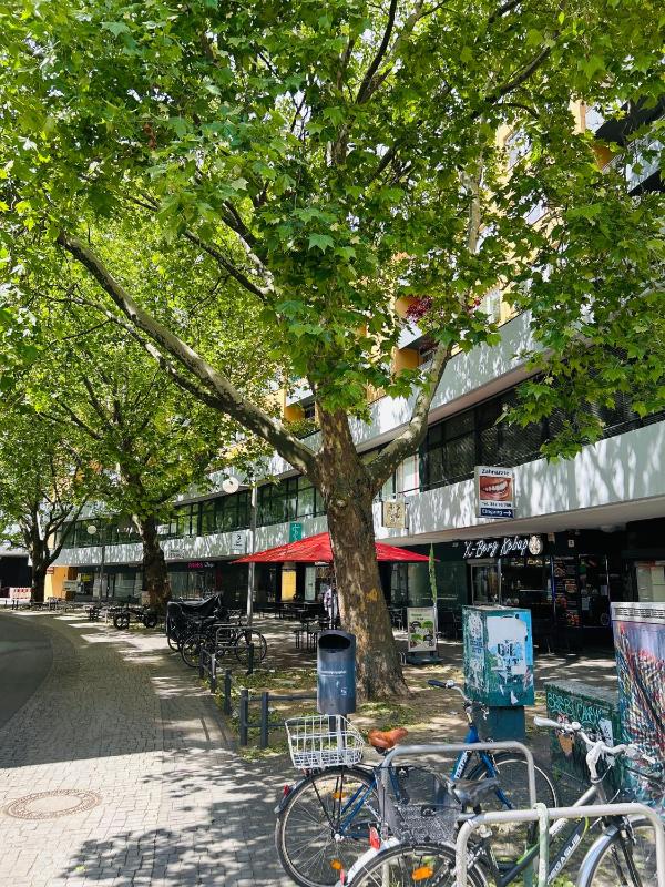 Deluxe Apartment  - Mehringplatz 12,13,14 image 2