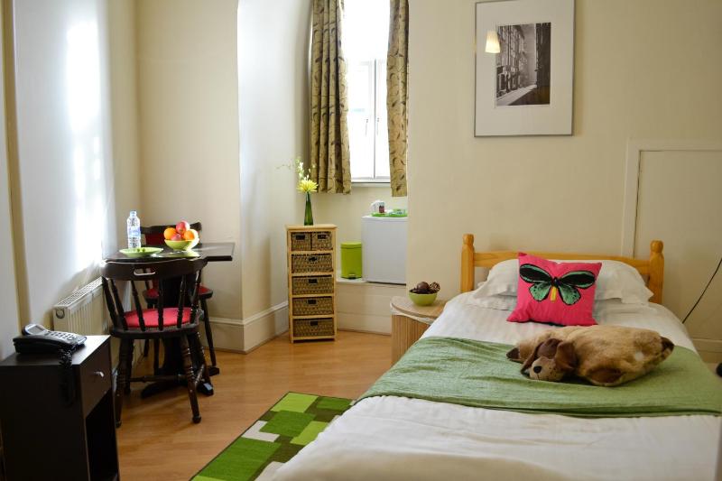 Single Room image 3
