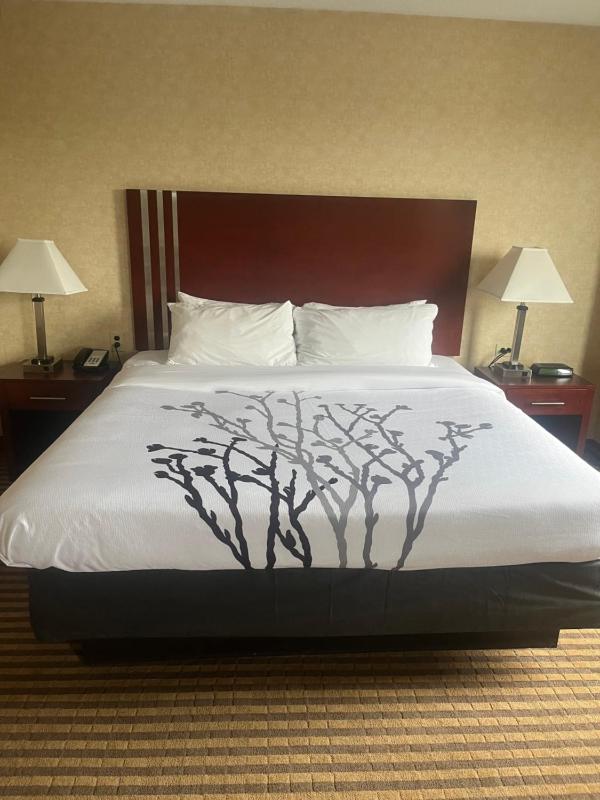 King Room image 3