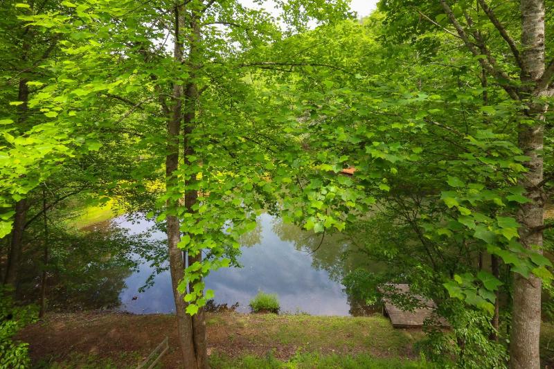 Shellie's Chateau - image 13