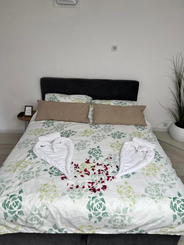 Apartmani Gandi - image 10