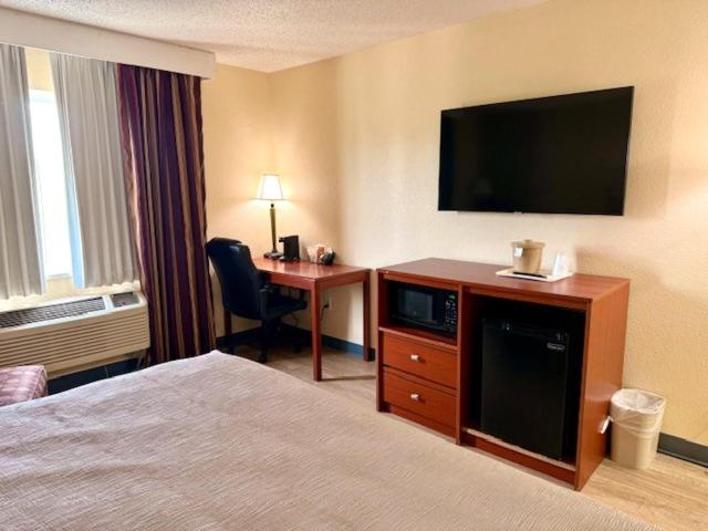 King Room - Non-Smoking image 1