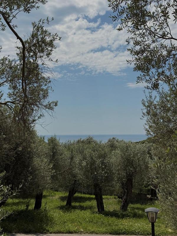 OLEA COTTAGE - image 4