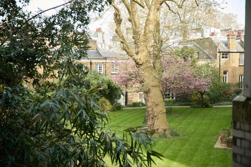 Deluxe Queen Room image 3