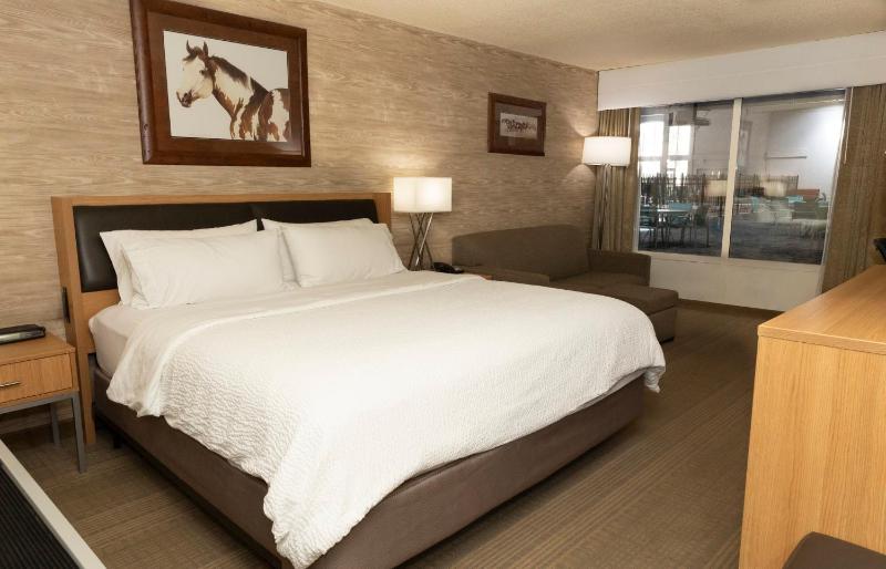Standard King Room image 4