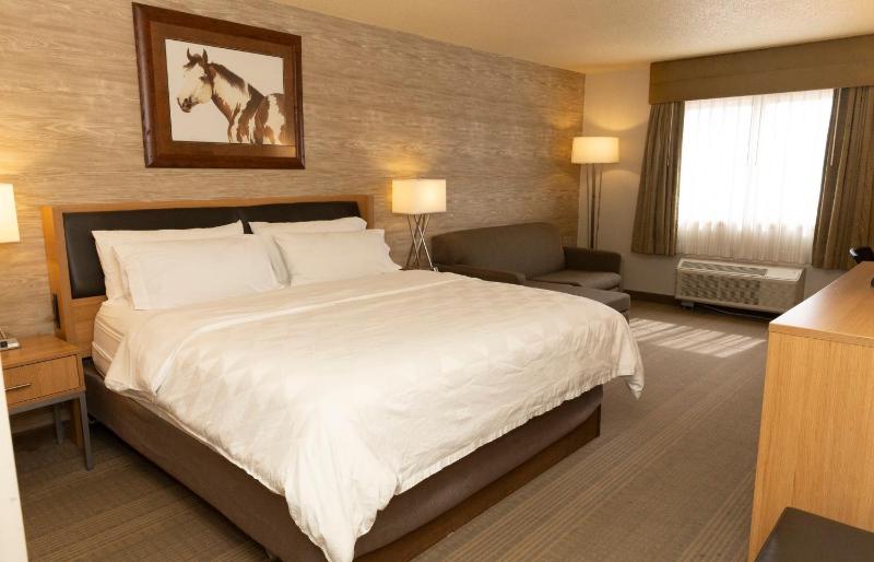 Standard King Room image 3