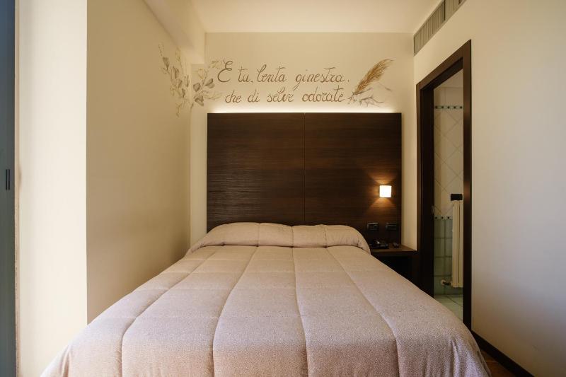 Superior Single Room image 4