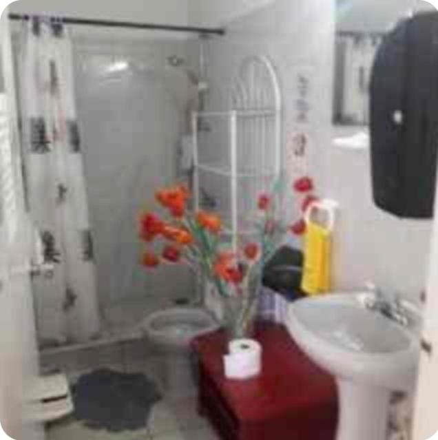 Palmitas Hostel with tropical garden & pool - image 10