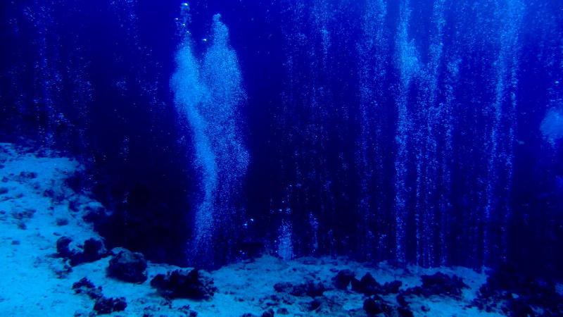 Deep Blue Divers Hostel Dahab - image 32