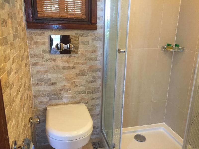 Standard Double Room image 3