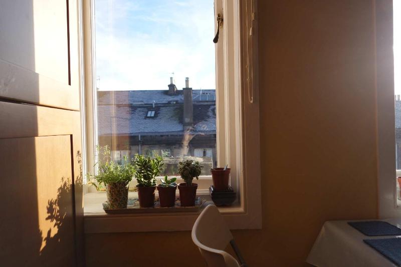 Apartment image 4