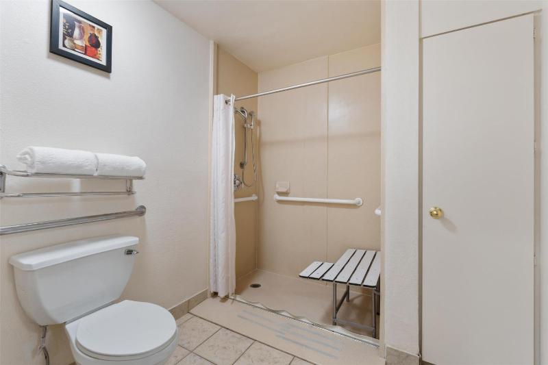 King Room with Roll-In Shower - Disability Access image 3