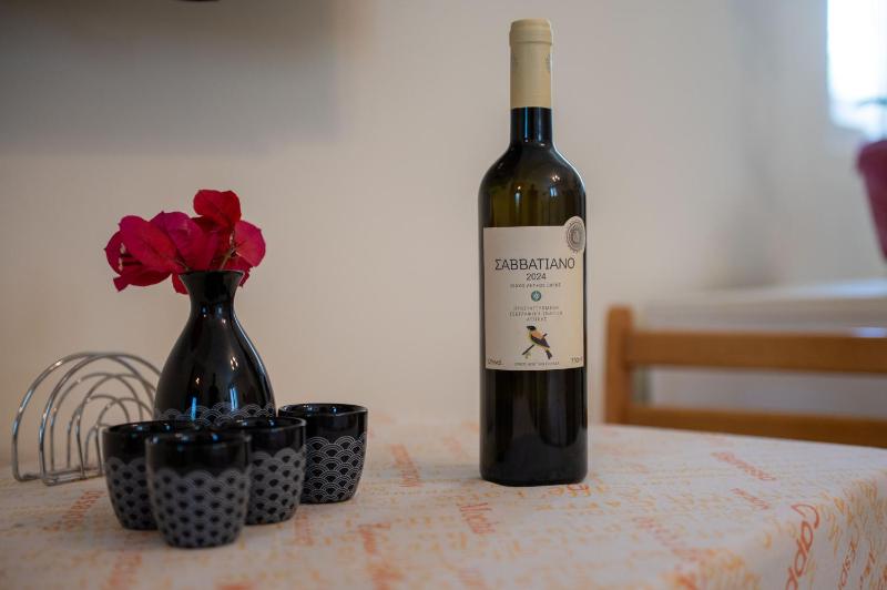 Androniko's Cosy Studio - image 13