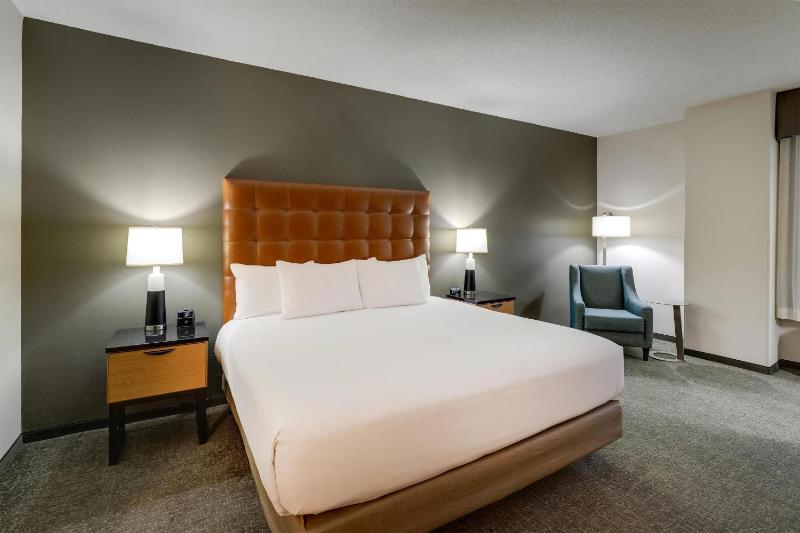Deluxe King Room - Accessible, Tub image 3