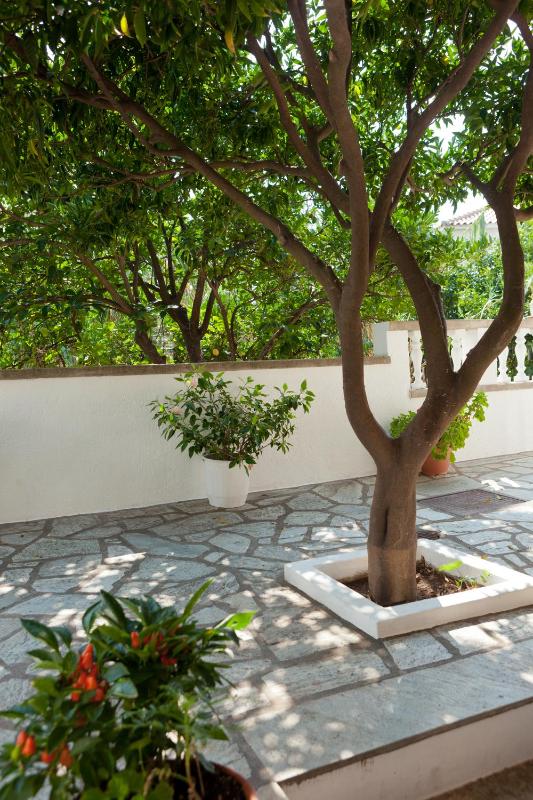 Sofia's Garden by Booking Kottas - image 34