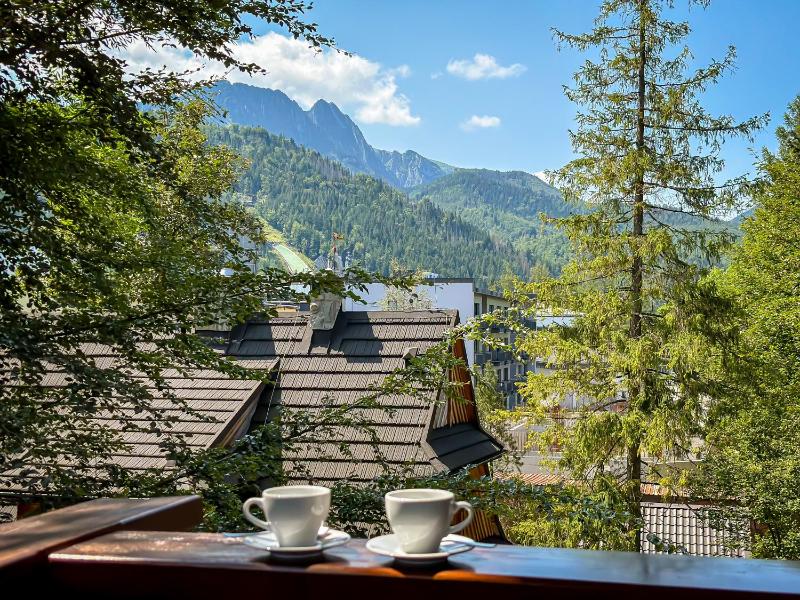 Hotel Crocus - image 5
