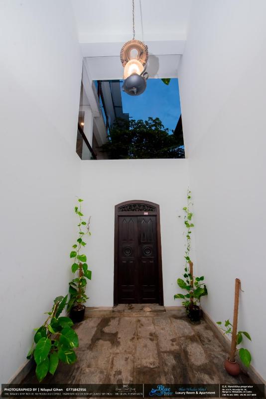 BLUE WHALES HOTEL - image 34