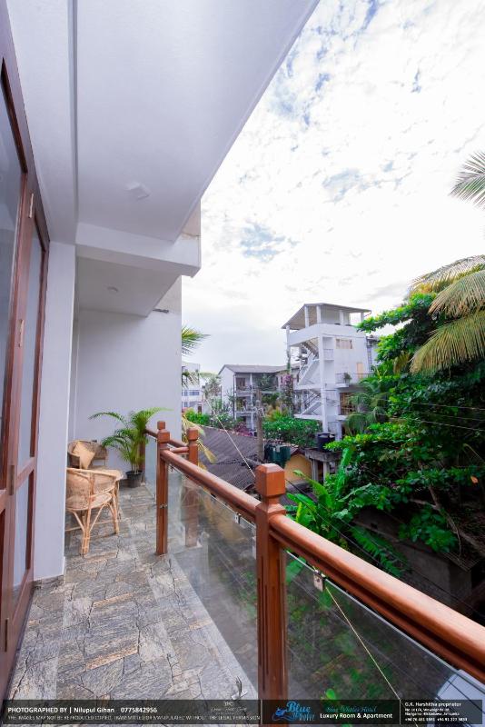 BLUE WHALES HOTEL - image 12