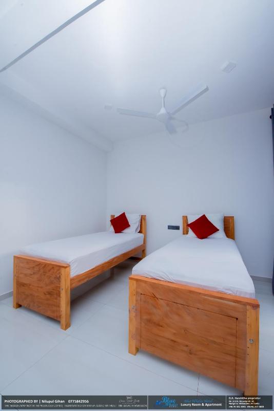 BLUE WHALES HOTEL - image 6