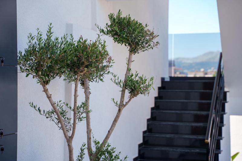 Belmond Hotel - image 11