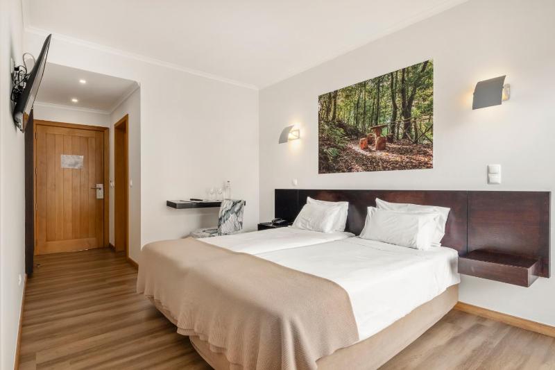 Double or Twin Room image 4