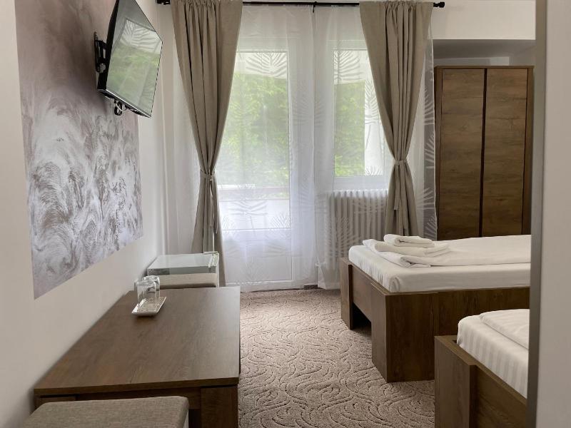 Deluxe Double or Twin Room image 4